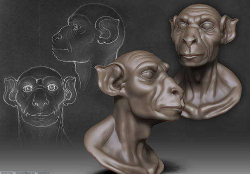 Rauli - zBrush 4 R2