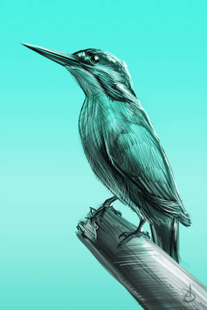 24/365 - kingfisher by artborne-wd