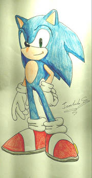 Sonic the hedgehog 