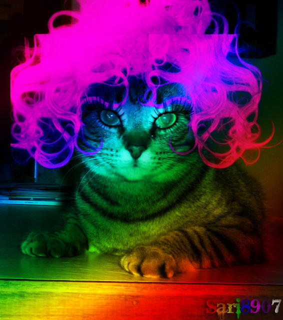 Rainbow Riley by Sari8907 on DeviantArt