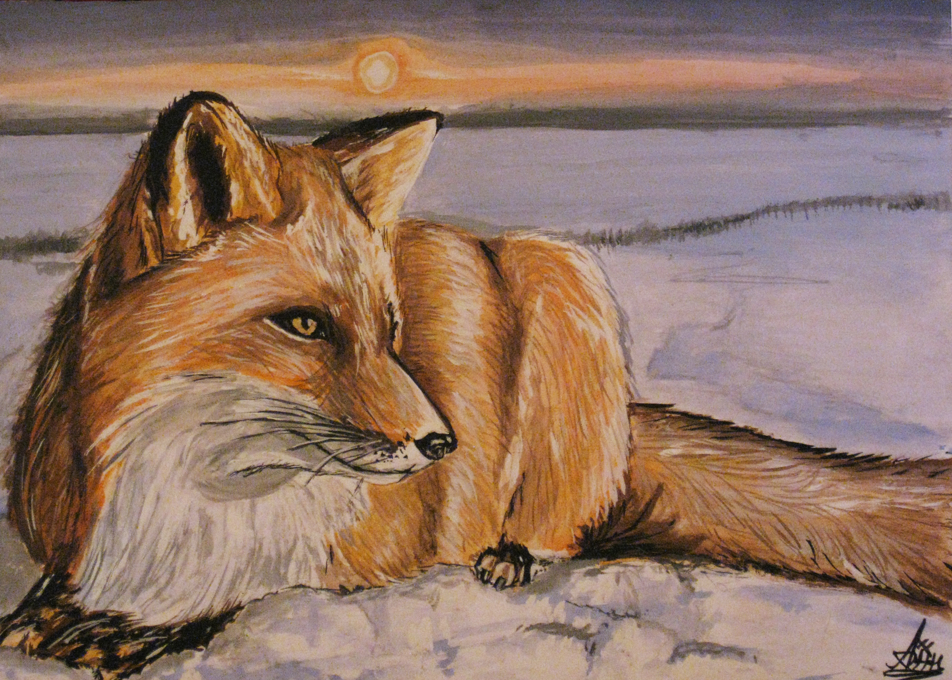 The Fox