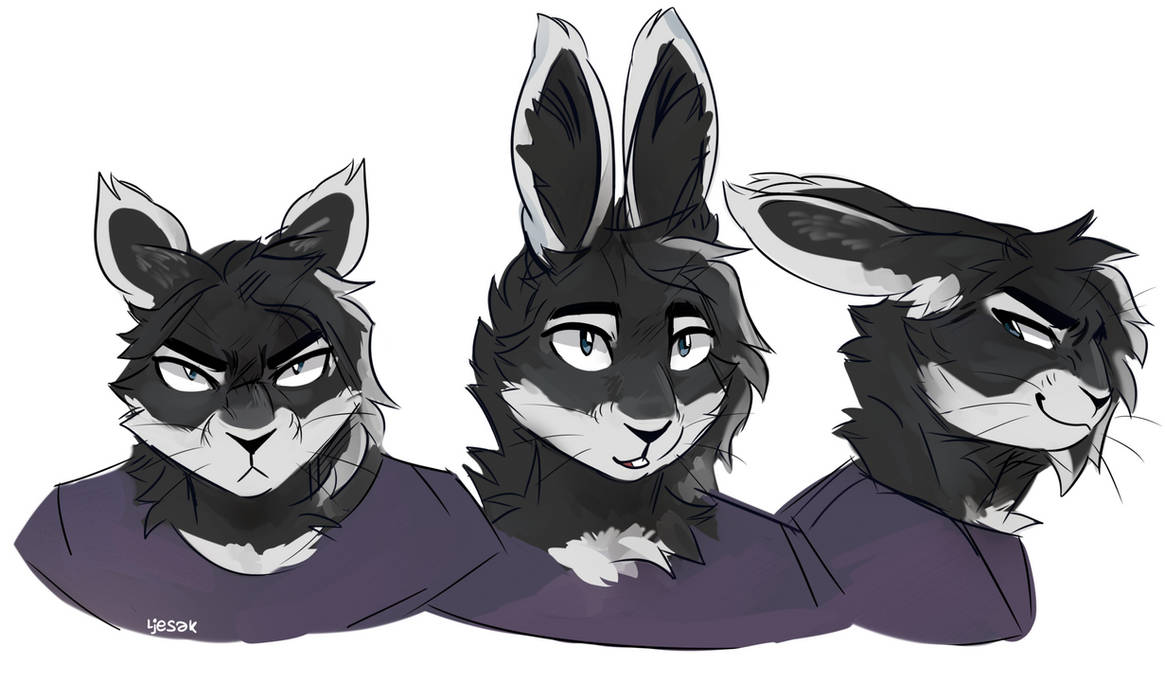Mewing Rabbit randomrabbit by leskweg on DeviantArt