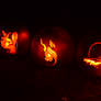 2012 Pumpkins