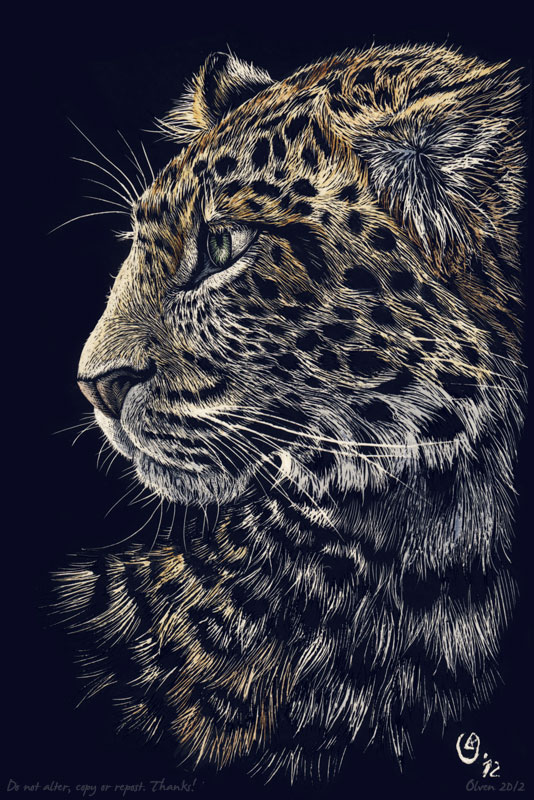 Scratch art: Chinese leopard - color by olvice on DeviantArt