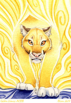 ACEO Golden lioness