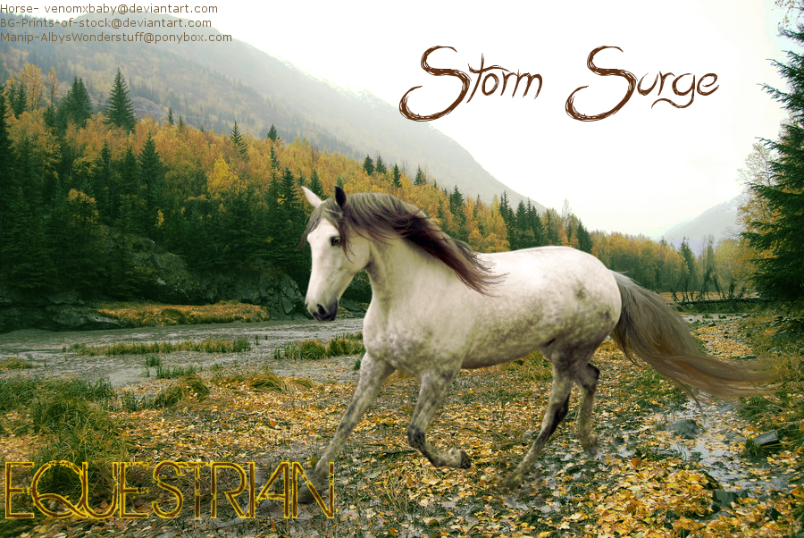 Stormsurgeequestrian