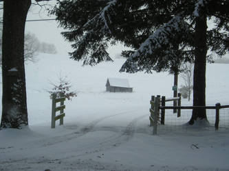 Little Barn, Late Winter