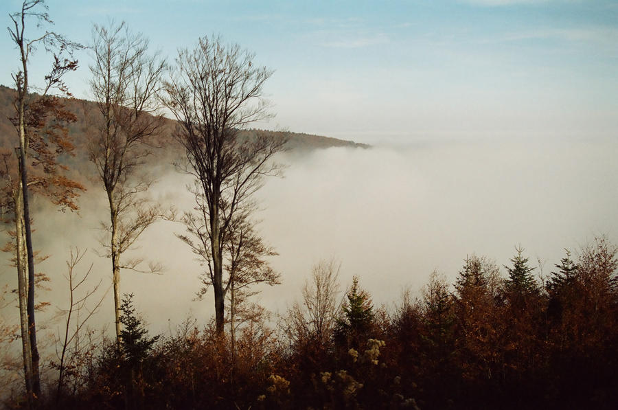 Over the Clouds