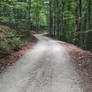 The forgotten road