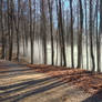 The Border between Paradise and Hell 1
