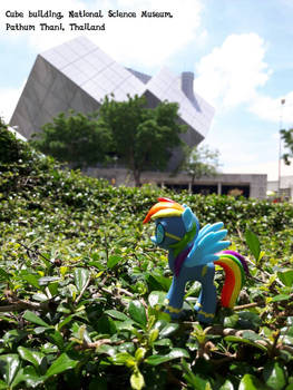 Rainbow Dash at the cube building