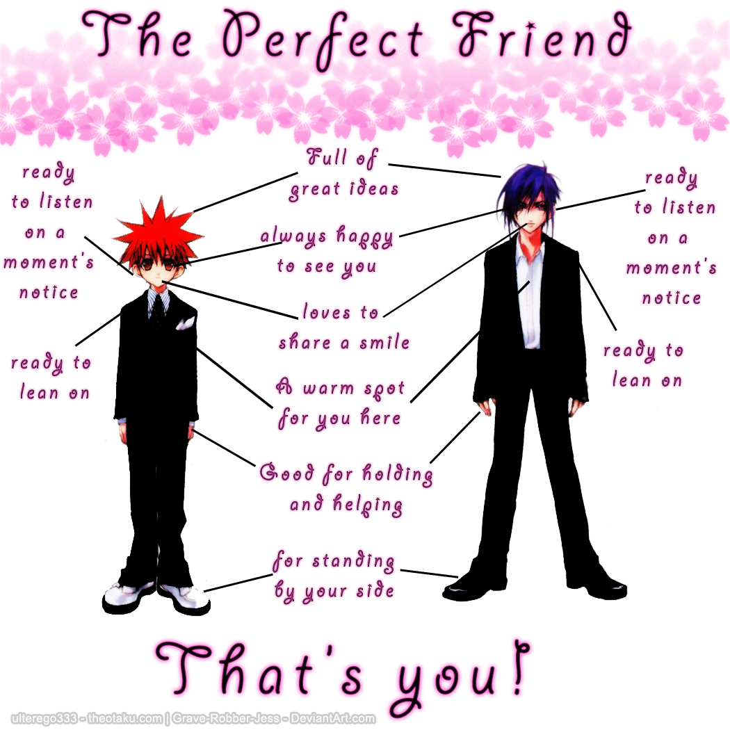 The Perfect Friend