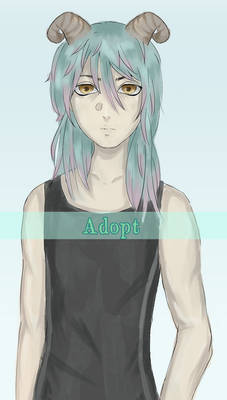 ADOPT OPEN