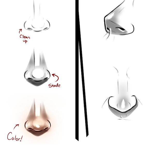 Nose Tutorial (Preview)