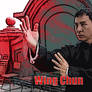 the IP MAN 2