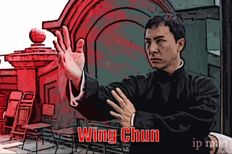 the IP MAN 2