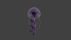jellyfish2-Wip-continue
