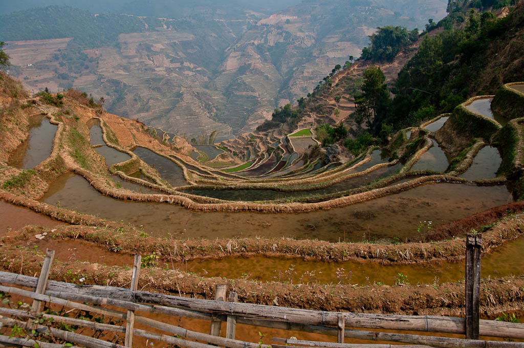 Yunnan's rice field