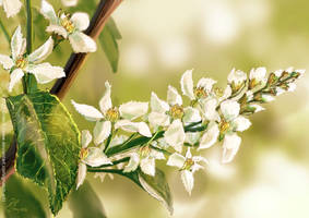 Mother's day card 2022