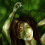 The Dreamer