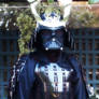 Shogun Vader in the garden