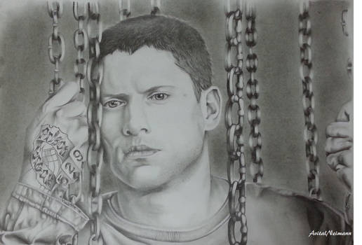 michael skolfield- wentworth miller