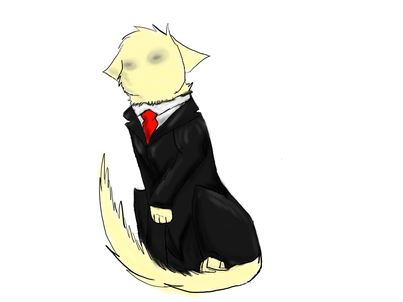 Slender cat