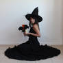 Halloween Witch 4