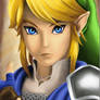 Link from Hyrule Warriors!