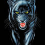 Black panther