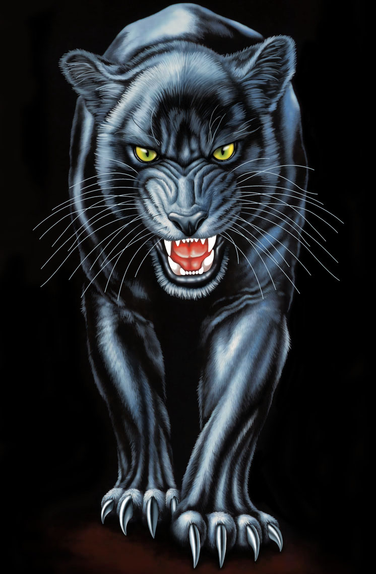 Black panther by Real-Warner on DeviantArt
