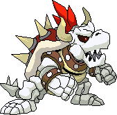 Dry Bowser