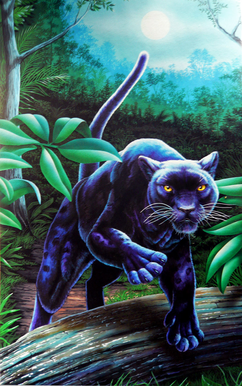 Pantera negra by Real-Warner on DeviantArt Pantera negra by Real-Warner on DeviantArt