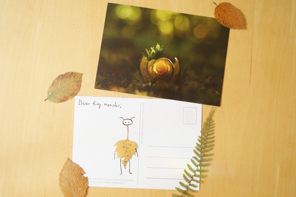 Postcard Print: Circle of Life by Rick-TinyWorlds