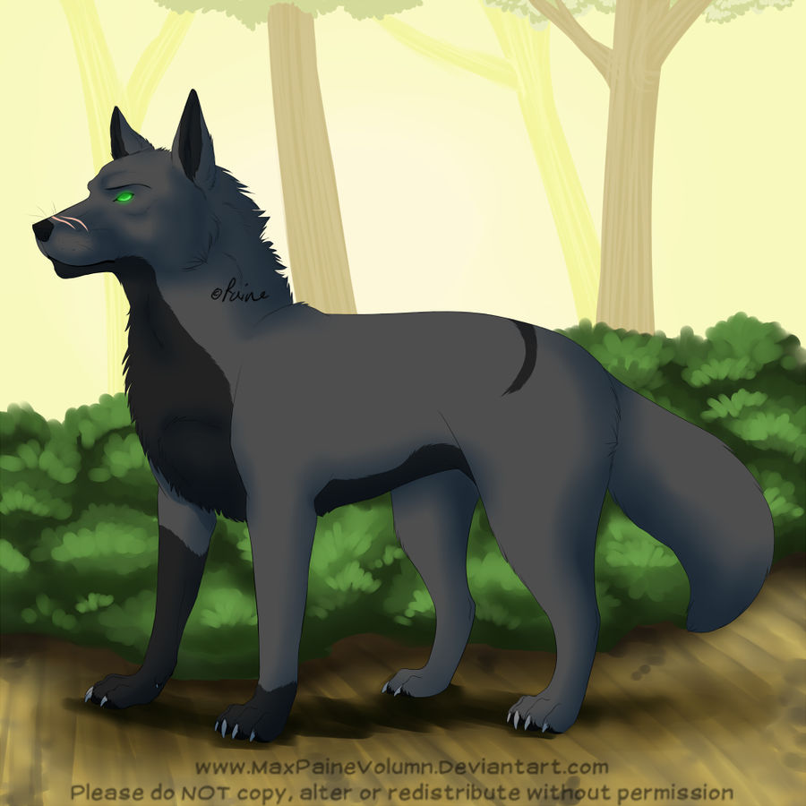 Wolf leader by MaxPaineVolumn on DeviantArt