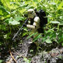 stormtrooper jungle recon