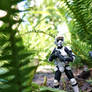 Hunting Ewoks