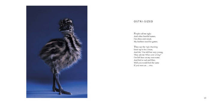 Ostri-Sized -Poem by Cornish Poet Clive Blake