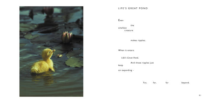 Life's Great Pond  -by Cornish Poet Clive Blake