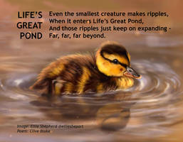 Life's Great Pond by Clive Blake - Ellie Shepherd