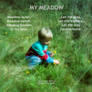 Meadow poem My Meadow by Cornish Poet Clive Blake 