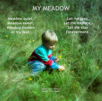 Meadow poem My Meadow by Cornish Poet Clive Blake 