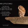 Two Little Owls poem +bord Blake -Francis Sandbach