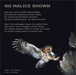 Owl poem No Malice Shown +bord owl poetry by CliveBlake