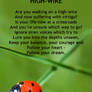 High-Wire poem by Clive Blake image by Neil Hart