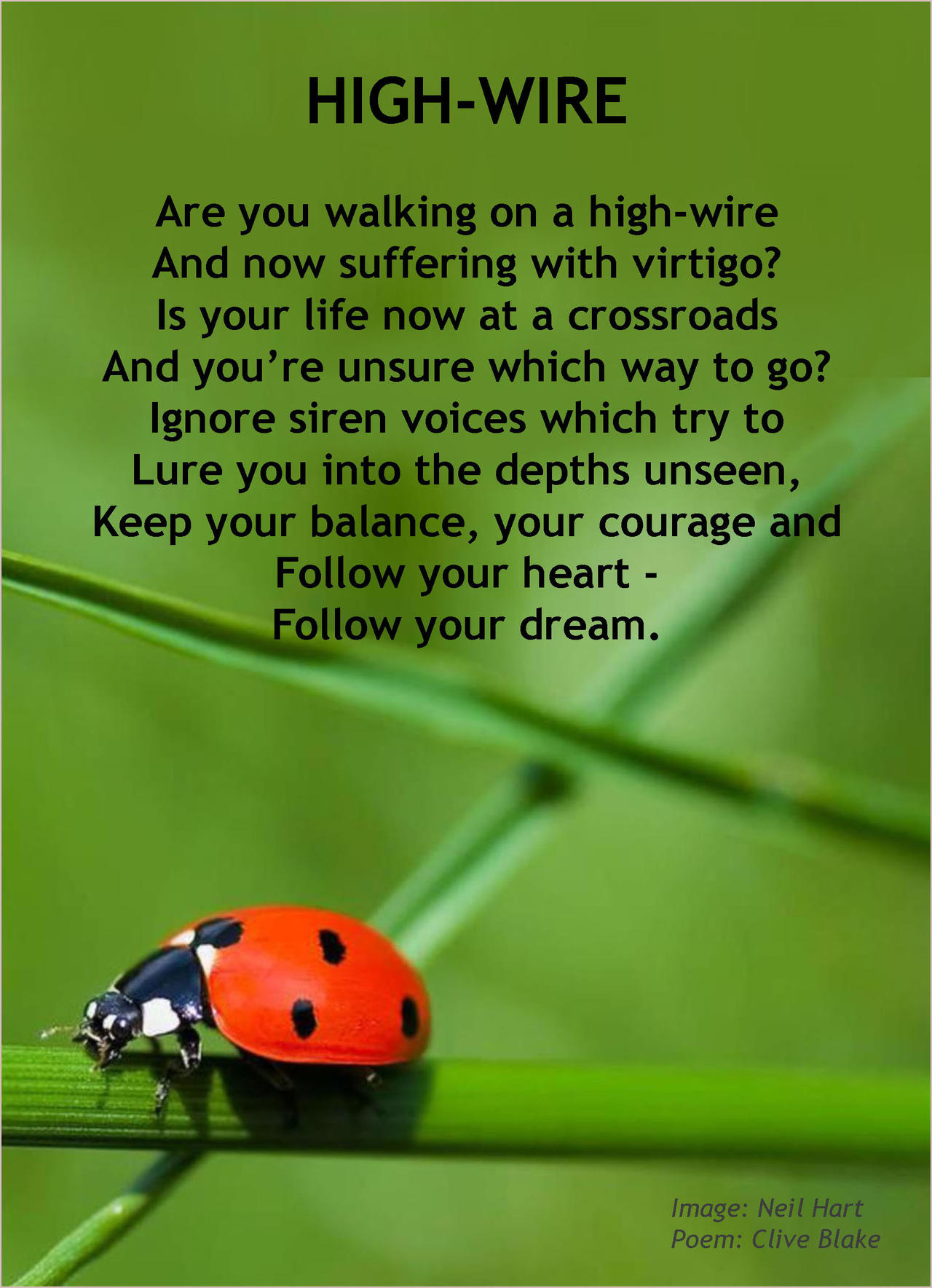 High-Wire poem +bord Clive Blake image Neil Hart