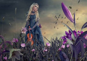 Flower viewers by VitaShuba Flower viewers by VitaShuba