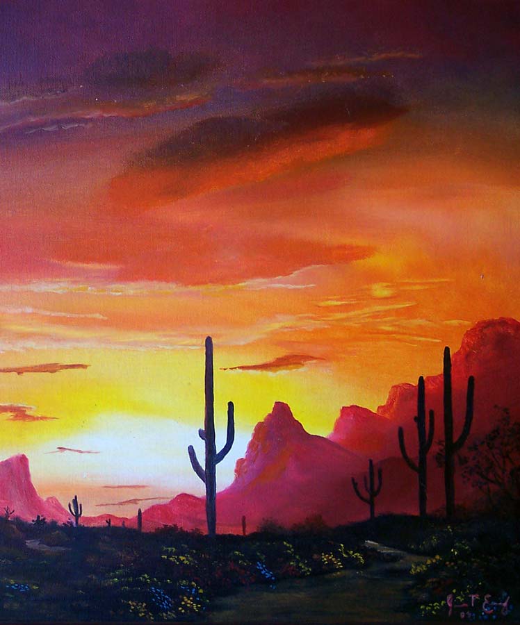 Arizona Sunset