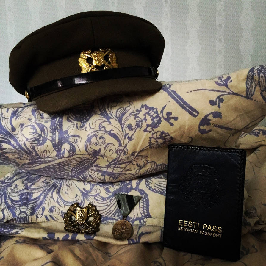 Most patriotic Estonian picture... by ValgeKaartlane on DeviantArt