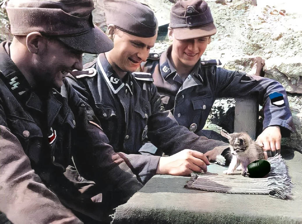 Немцы радуются. Немецкие солдаты СС второй мировой войны. Ветераны 20 дивизии СС. Немецкие солдаты с котами. Немецкий солдат с котенком.